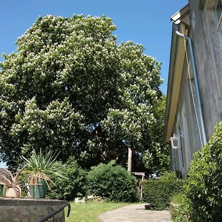 公寓 Haus Keppelborg: Zi Antonia Mit Kirchplatzblick 黑克