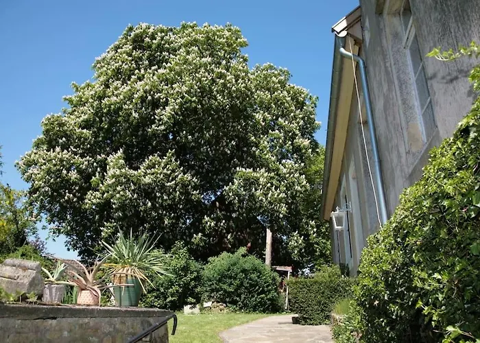 Lejlighed Haus Keppelborg: Zi Antonia Mit Kirchplatzblick Heek